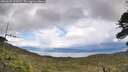 ./images/calvert/fitz-hugh-hecate/20260605/fitz-hugh-hecate20260605_151001M.jpg