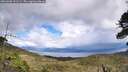 ./images/calvert/fitz-hugh-hecate/20260605/fitz-hugh-hecate20260605_151502M.jpg