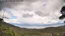 ./images/calvert/fitz-hugh-hecate/20260605/fitz-hugh-hecate20260605_154501M.jpg