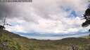 ./images/calvert/fitz-hugh-hecate/20260605/fitz-hugh-hecate20260605_155001M.jpg