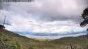 ./images/calvert/fitz-hugh-hecate/20260605/fitz-hugh-hecate20260605_160501M.jpg