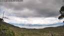 ./images/calvert/fitz-hugh-hecate/20260605/fitz-hugh-hecate20260605_161501M.jpg