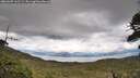 ./images/calvert/fitz-hugh-hecate/20260605/fitz-hugh-hecate20260605_162501M.jpg