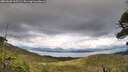 ./images/calvert/fitz-hugh-hecate/20260605/fitz-hugh-hecate20260605_163501M.jpg