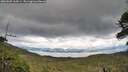 ./images/calvert/fitz-hugh-hecate/20260605/fitz-hugh-hecate20260605_164501M.jpg