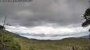 ./images/calvert/fitz-hugh-hecate/20260605/fitz-hugh-hecate20260605_165002M.jpg