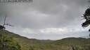 ./images/calvert/fitz-hugh-hecate/20260605/fitz-hugh-hecate20260605_170502M.jpg