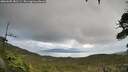 ./images/calvert/fitz-hugh-hecate/20260605/fitz-hugh-hecate20260605_181501M.jpg