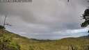 ./images/calvert/fitz-hugh-hecate/20260605/fitz-hugh-hecate20260605_184001M.jpg