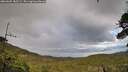 ./images/calvert/fitz-hugh-hecate/20260605/fitz-hugh-hecate20260605_185502M.jpg