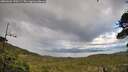 ./images/calvert/fitz-hugh-hecate/20260605/fitz-hugh-hecate20260605_190501M.jpg