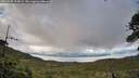 ./images/calvert/fitz-hugh-hecate/20260605/fitz-hugh-hecate20260605_195001M.jpg
