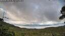 ./images/calvert/fitz-hugh-hecate/20260605/fitz-hugh-hecate20260605_195502M.jpg