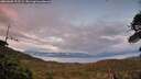./images/calvert/fitz-hugh-hecate/20260605/fitz-hugh-hecate20260605_215502M.jpg