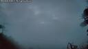 ./images/calvert/fitz-hugh-hecate/20260606/fitz-hugh-hecate20260606_044001M.jpg
