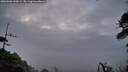 ./images/calvert/fitz-hugh-hecate/20260606/fitz-hugh-hecate20260606_045001M.jpg