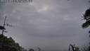 ./images/calvert/fitz-hugh-hecate/20260606/fitz-hugh-hecate20260606_045501M.jpg