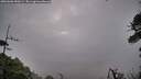 ./images/calvert/fitz-hugh-hecate/20260606/fitz-hugh-hecate20260606_050501M.jpg
