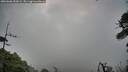 ./images/calvert/fitz-hugh-hecate/20260606/fitz-hugh-hecate20260606_053001M.jpg