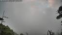 ./images/calvert/fitz-hugh-hecate/20260606/fitz-hugh-hecate20260606_053501M.jpg