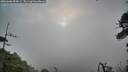 ./images/calvert/fitz-hugh-hecate/20260606/fitz-hugh-hecate20260606_054001M.jpg