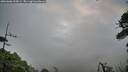 ./images/calvert/fitz-hugh-hecate/20260606/fitz-hugh-hecate20260606_055002M.jpg
