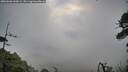 ./images/calvert/fitz-hugh-hecate/20260606/fitz-hugh-hecate20260606_060001M.jpg