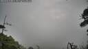 ./images/calvert/fitz-hugh-hecate/20260606/fitz-hugh-hecate20260606_064001M.jpg