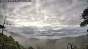 ./images/calvert/fitz-hugh-hecate/20260606/fitz-hugh-hecate20260606_072002M.jpg