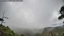 ./images/calvert/fitz-hugh-hecate/20260606/fitz-hugh-hecate20260606_083501M.jpg