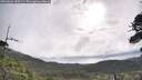 ./images/calvert/fitz-hugh-hecate/20260606/fitz-hugh-hecate20260606_085501M.jpg
