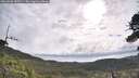 ./images/calvert/fitz-hugh-hecate/20260606/fitz-hugh-hecate20260606_090501M.jpg