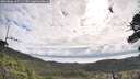 ./images/calvert/fitz-hugh-hecate/20260606/fitz-hugh-hecate20260606_091501M.jpg