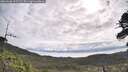./images/calvert/fitz-hugh-hecate/20260606/fitz-hugh-hecate20260606_092502M.jpg