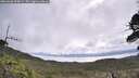 ./images/calvert/fitz-hugh-hecate/20260606/fitz-hugh-hecate20260606_094001M.jpg