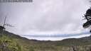 ./images/calvert/fitz-hugh-hecate/20260606/fitz-hugh-hecate20260606_100002M.jpg
