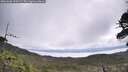 ./images/calvert/fitz-hugh-hecate/20260606/fitz-hugh-hecate20260606_100502M.jpg