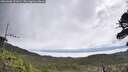 ./images/calvert/fitz-hugh-hecate/20260606/fitz-hugh-hecate20260606_101001M.jpg