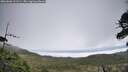 ./images/calvert/fitz-hugh-hecate/20260606/fitz-hugh-hecate20260606_101501M.jpg