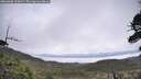 ./images/calvert/fitz-hugh-hecate/20260606/fitz-hugh-hecate20260606_102001M.jpg