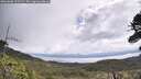 ./images/calvert/fitz-hugh-hecate/20260606/fitz-hugh-hecate20260606_103501M.jpg