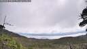 ./images/calvert/fitz-hugh-hecate/20260606/fitz-hugh-hecate20260606_104001M.jpg