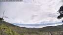 ./images/calvert/fitz-hugh-hecate/20260606/fitz-hugh-hecate20260606_104501M.jpg