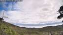 ./images/calvert/fitz-hugh-hecate/20260606/fitz-hugh-hecate20260606_110501M.jpg