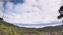 ./images/calvert/fitz-hugh-hecate/20260606/fitz-hugh-hecate20260606_111001M.jpg