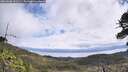 ./images/calvert/fitz-hugh-hecate/20260606/fitz-hugh-hecate20260606_111501M.jpg