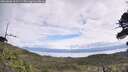 ./images/calvert/fitz-hugh-hecate/20260606/fitz-hugh-hecate20260606_113501M.jpg