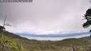 ./images/calvert/fitz-hugh-hecate/20260606/fitz-hugh-hecate20260606_122002M.jpg