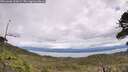 ./images/calvert/fitz-hugh-hecate/20260606/fitz-hugh-hecate20260606_130001M.jpg