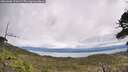 ./images/calvert/fitz-hugh-hecate/20260606/fitz-hugh-hecate20260606_131001M.jpg